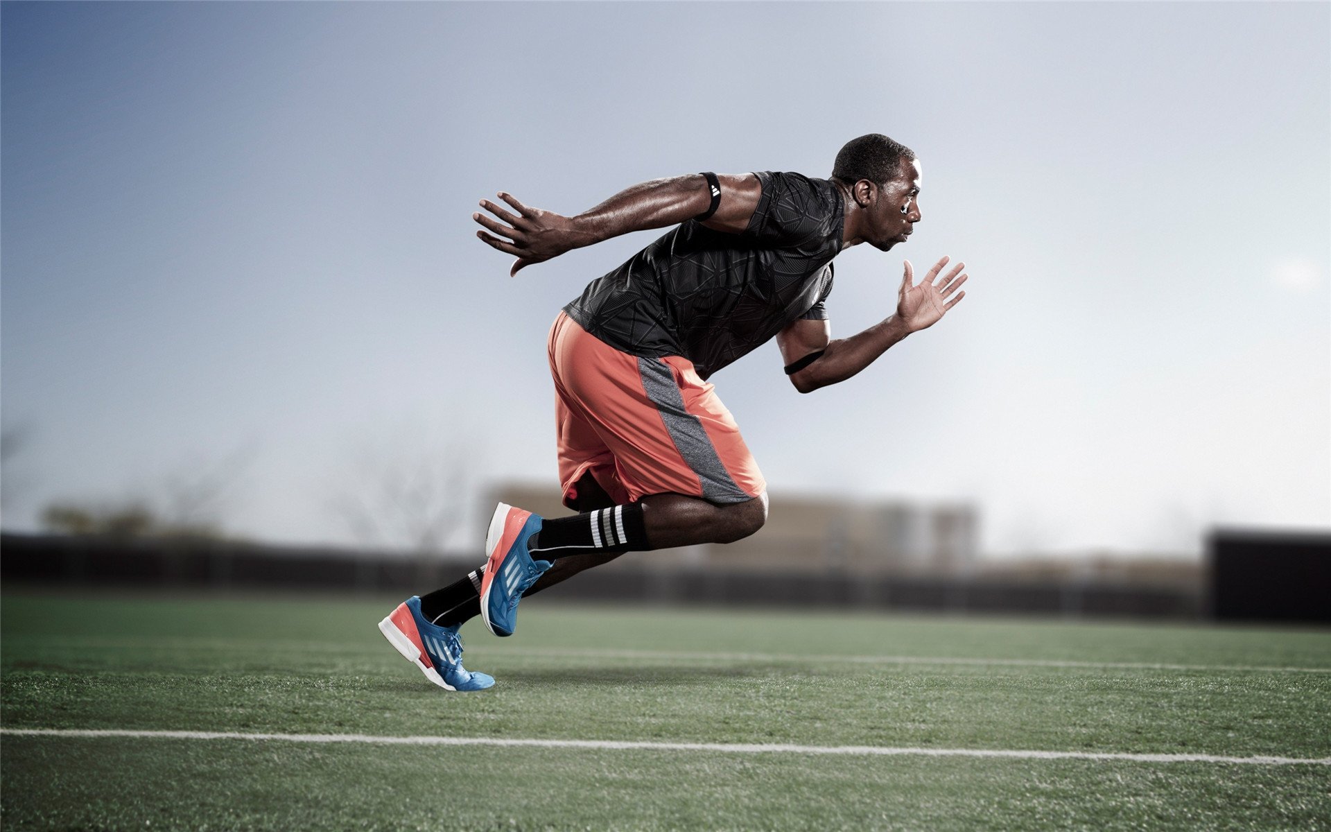 爱尔兰橄榄球青少年参与度稳步上升,爱尔兰体育项目